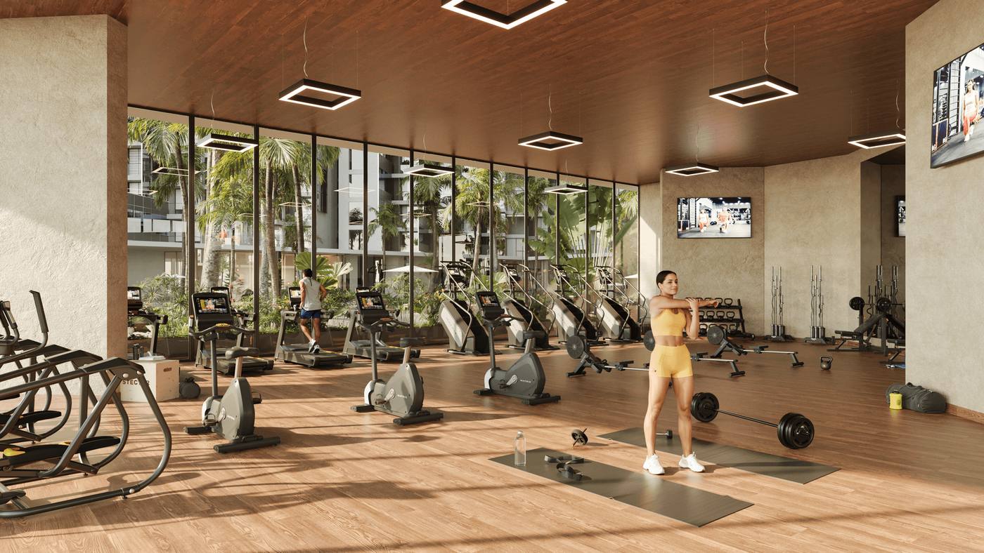 Gimnasio