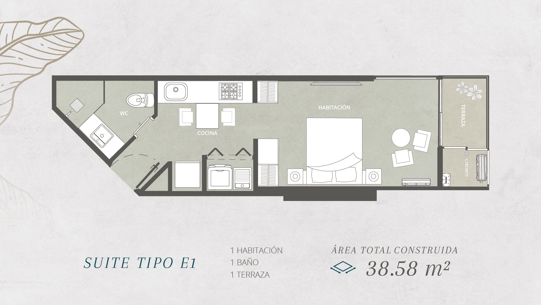 SUITE TIPO E1