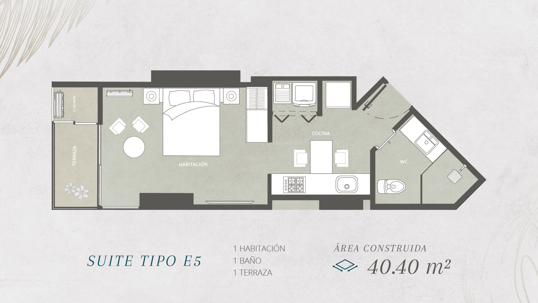 SUITE TIPO E5