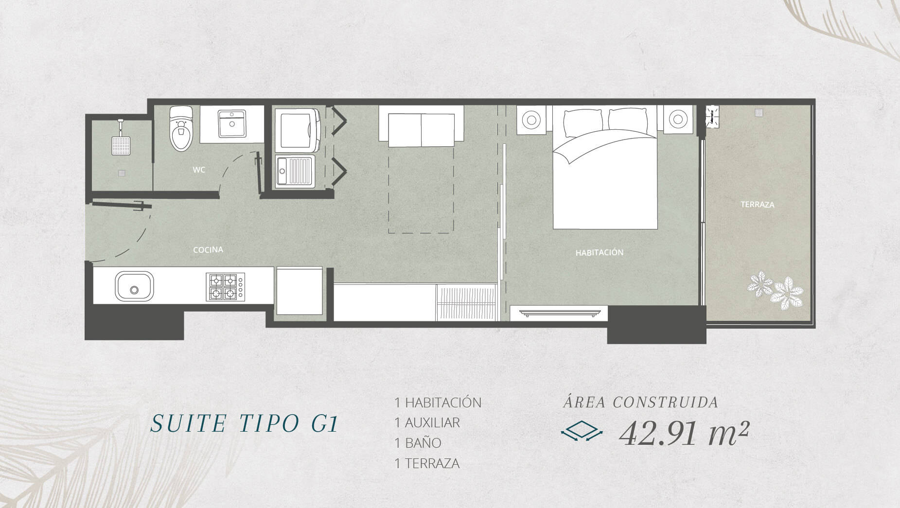 SUITE TIPO G1